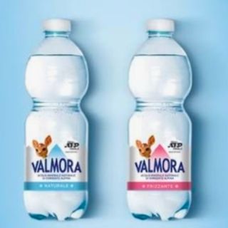 Acqua naturale L 0.5