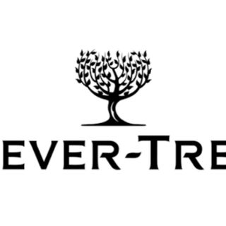 Acqua tonica Fever Tree Vetro 20 cl