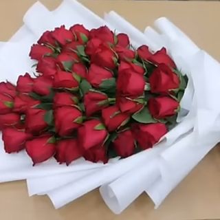 31 rose rosa