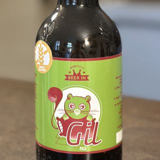 GIL stile pils alc. 4,8% vol. PILS