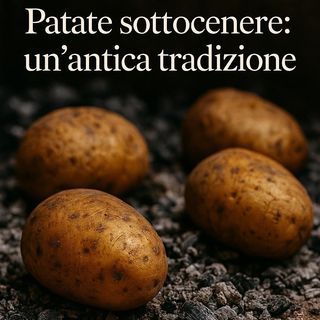 Patata sotto cenere