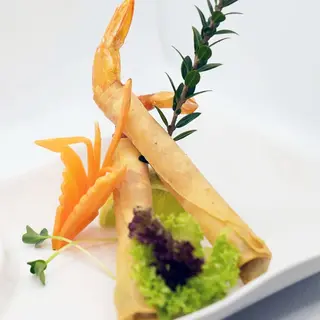 Ebi Spring