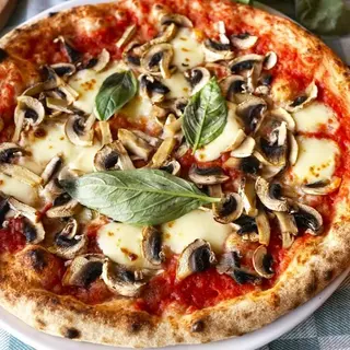 Funghi