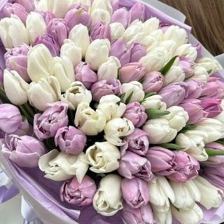 Bouquet di 30 Tulipani