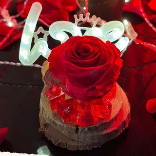 Rosa Love
