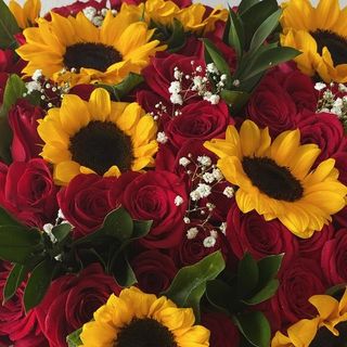 3 rose rosse e 2 girasoli