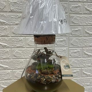 Lampada Terrarium