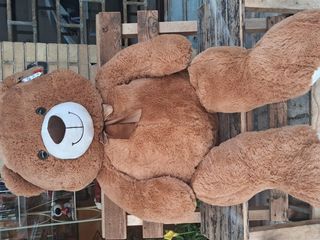 Orso Marrone