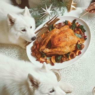 FAMILY pollo Campese