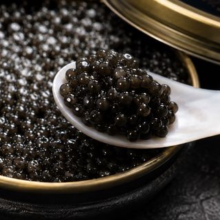 Latta di caviale di storione siberiano
