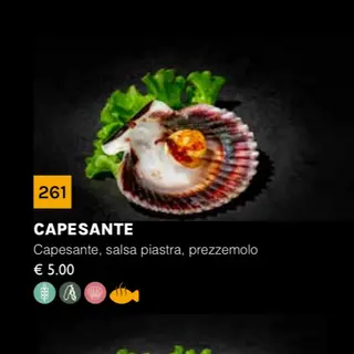 261 capesante