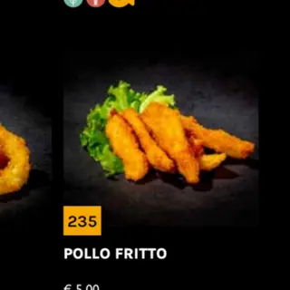 235 pollo fritto