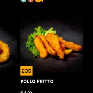 235 pollo fritto