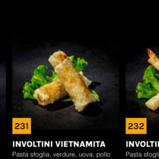 231 involtini primavera