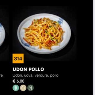 314 Udon con pollo