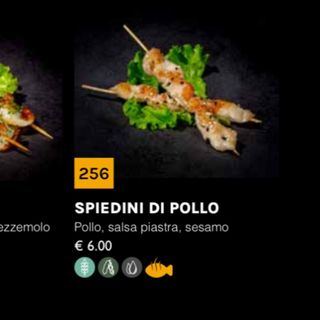 256 spiedini di pollo
