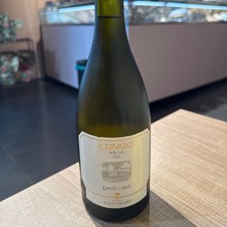 Cervaro della Sala Bianco