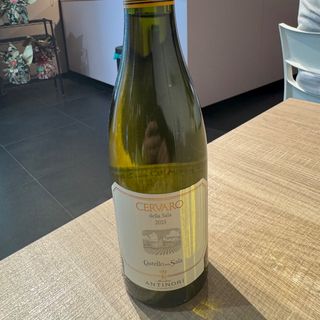 Cervaro della sala 2023 375 ml