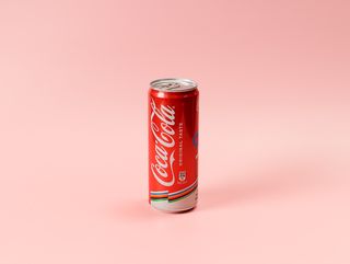 Coca-Cola Lattina 330 ml