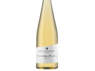 Colomba platino insolia