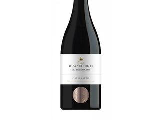 Branciforti catarratto