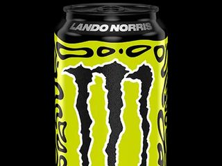 Moneter lando norris