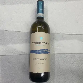 Vino terre forti