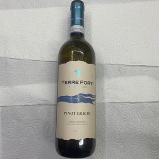 Vino terre forti