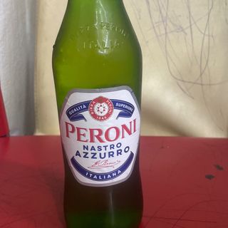 NASTRo 66
