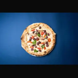 Calabrisella