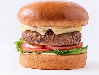 Normal cheese burger