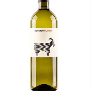 Falanghina