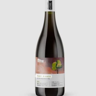 Pinot bianco