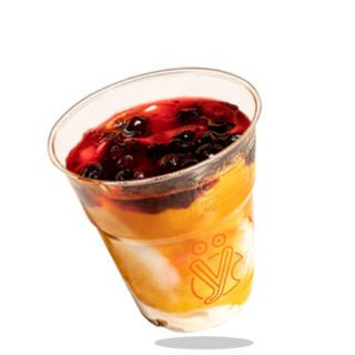 Yogurt senza lattosio