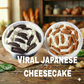 VIRAL japanese cheesecake