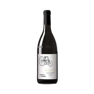 523. SAUVIGNON BLANC