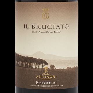Il Bruciato Bolgheri