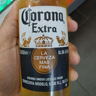 Corona Extra