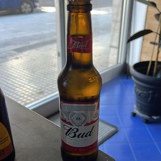 Bud 33cl