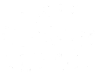 Arizona burger