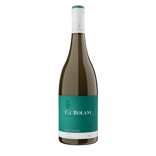 Pinot Grigio Ca Bolani