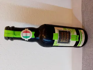 Birra IPA