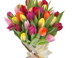 Tulipani mix bouquets