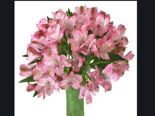 alstroemeria rosa bouquet
