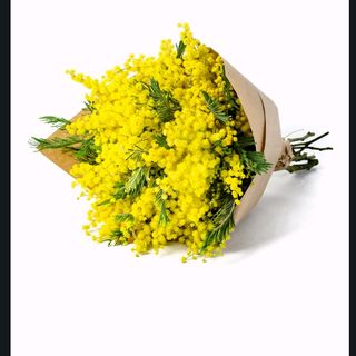Mimosa bouquets