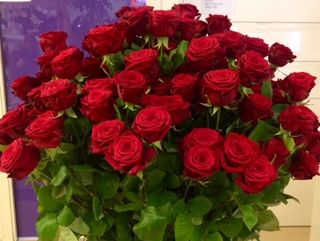 50 rose rosse