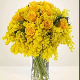 Mimosa rose galli bouquet