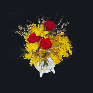 Mimosa rose rossi bouquets