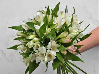 alstroemeria bianchi bouquet