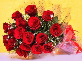 17 rose rosse